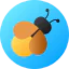 Firefly іконка 64x64