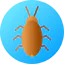 Cockroach іконка 64x64