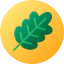 Leaf іконка 64x64