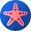 Starfish іконка 64x64