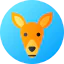Kangaroo іконка 64x64