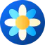 Flower іконка 64x64