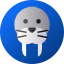 Walrus іконка 64x64
