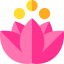 Lotus アイコン 64x64