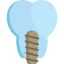 Implants icon 64x64