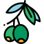 Olives icon 64x64