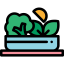 Salad icon 64x64