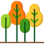 Forest 图标 64x64