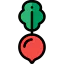 Radish icon 64x64
