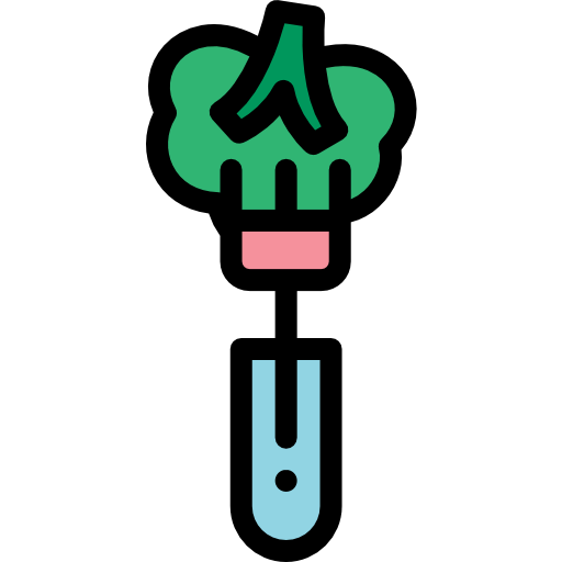 Broccoli icon