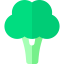 Broccoli icon 64x64