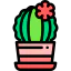 Cactus 图标 64x64