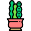 Cactus 图标 64x64