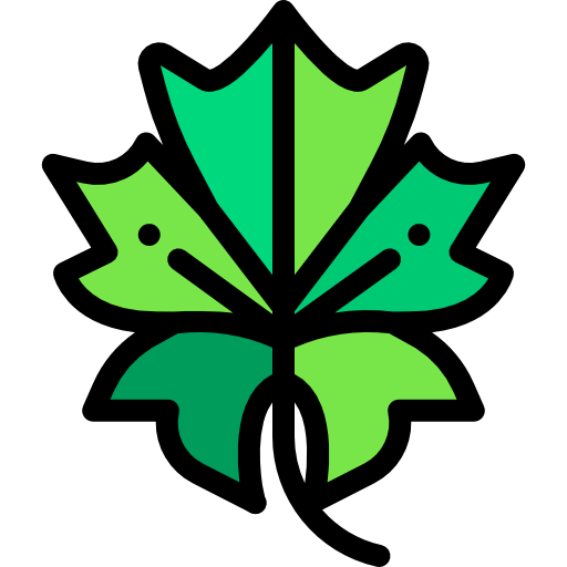 Leaf icon