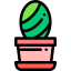 Cactus 图标 64x64