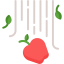 Apple ícone 64x64