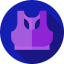 Bra icon 64x64