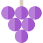 Grapes Ikona 64x64