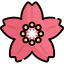 Cherry blossom アイコン 64x64