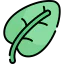 Leaf アイコン 64x64