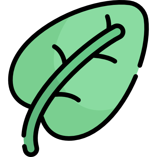 Leaf icon
