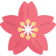 Cherry blossom icon 64x64