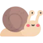 Snail icon 64x64