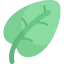 Leaf icon 64x64