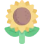 Sunflower icon 64x64