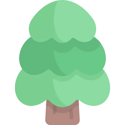 Pine icon