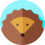 Hedgehog Ikona 64x64