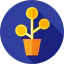 Growth icon 64x64
