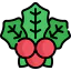 Mistletoe icon 64x64