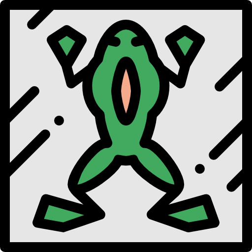 Frog icon