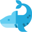 Shark 상 64x64