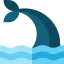 Whale 상 64x64