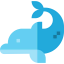 Dolphin icon 64x64