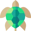 Turtle icon 64x64