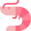 Prawn icon 64x64
