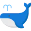 Whale アイコン 64x64