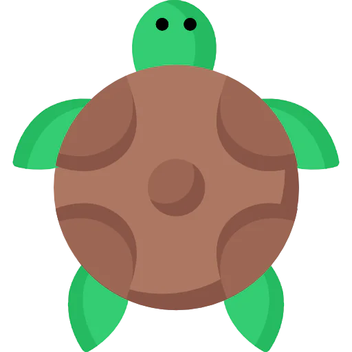 Tortoise icon