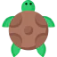 Tortoise アイコン 64x64