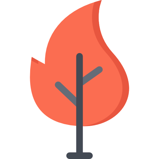 Fire icon