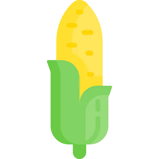 Corn icon