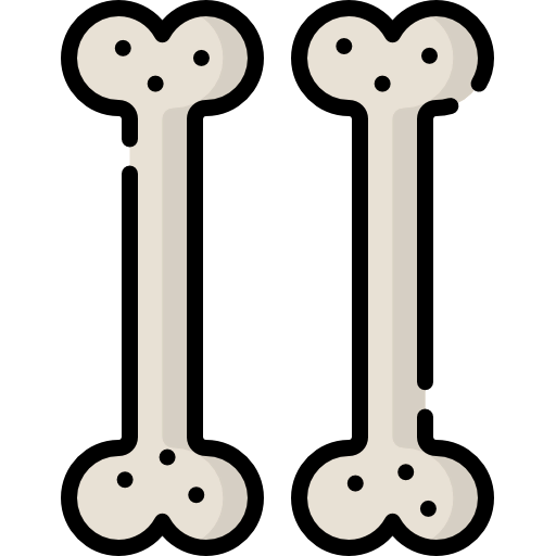 Bones ícone