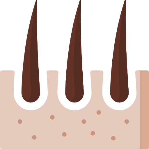 Dermathology Ikona