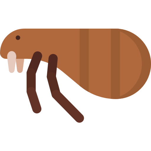 Flea icon