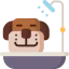 Pet icône 64x64