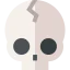 Skull 图标 64x64