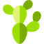 Cactus 图标 64x64